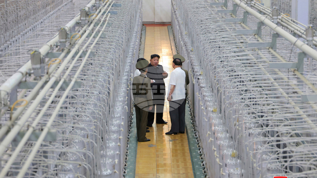 Пхенян твърди, че ядрените амбиции на Япония трябва да бъдат предотвратени "на всяка цена"