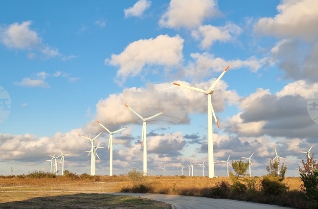 Вятърната енергия осигури над 23 на сто от електричеството в Европа през изминалото денонощие 