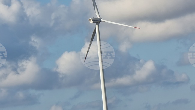 Над 20 процента от електричеството в Европа е осигурено от вятърна енергия през изминалото денонощие