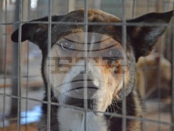 Снимка: Община Варна