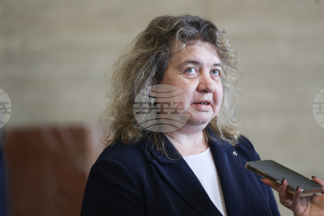 Проблем с работата на Народното събрание няма, каза председателят на парламента Наталия Киселова относно липсата на кворум последните два дни