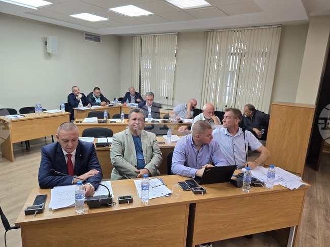 Съветниците в Плевен приеха комплексна програма за овладяване на популацията на безстопанствените кучета