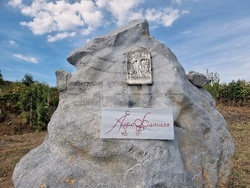 Село Боровци - винарна „Агрофитнес“