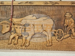 Село Боровци - винарна „Агрофитнес“