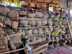 Село Боровци - винарна „Агрофитнес“