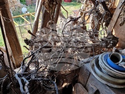 Село Боровци - винарна „Агрофитнес“