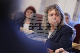 Народно събрание - Комисия за прякото участие на гражданите - кръгла маса