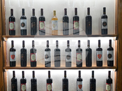 Село Боровци - винарна „Агрофитнес“