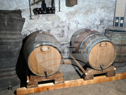 Село Боровци - винарна „Агрофитнес“