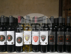 Село Боровци - винарна „Агрофитнес“