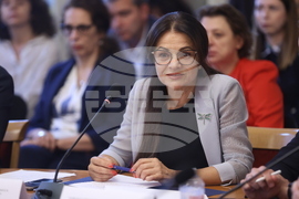 Народно събрание - Комисия за прякото участие на гражданите - кръгла маса