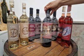 Пазарджик - винарска изба Elvino Ganeff Winery