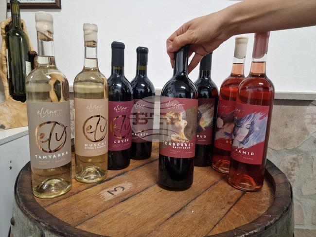 Етикети с картини на художници отличават продукцията на винарна "Елвино Ганеф" в Пазарджик