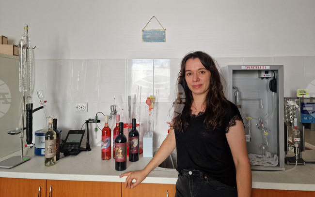 Пазарджик - винарска изба Elvino Ganeff Winery