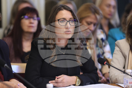 Народно събрание - Комисия за прякото участие на гражданите - кръгла маса