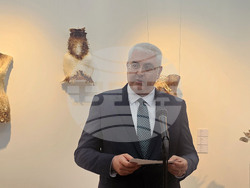 Галерия "Мисията" - "Митологични трансформации" - изложба