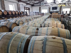 Село Мечка - винарска изба „Седем поколения“ - представяне