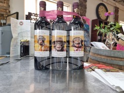 Село Мечка - винарска изба „Седем поколения“ - представяне