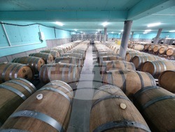 Село Мечка - винарска изба „Седем поколения“ - представяне