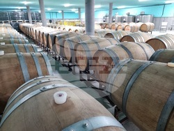 Село Мечка - винарска изба „Седем поколения“ - представяне