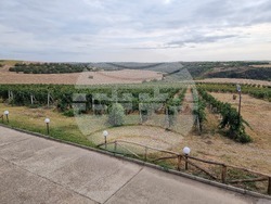 Село Мечка - винарска изба „Седем поколения“ - представяне