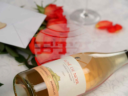 Нова Загора - винарска изба „Едоардо Миролио“