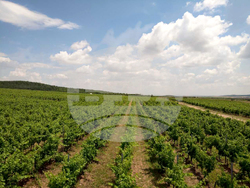 Нова Загора - винарска изба „Едоардо Миролио“