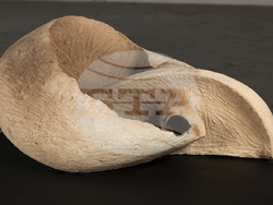 Ретроспективна изложба „Мештра“ представя изкуството на Атанас Гаджев. Снимка: СБХ