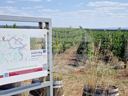 Харманли - изба „Коларово“