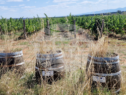 Харманли - изба „Коларово“