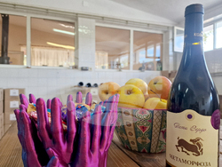 Харманли - изба „Коларово“