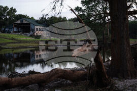 Texas Floods Camp Mystic
