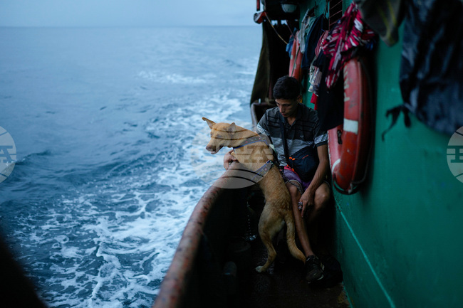 Pictures of the Week Global Photo Gallery