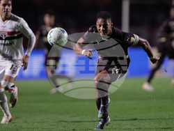Brazil Ecuador Soccer Copa Libertadores
