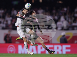 Brazil Ecuador Soccer Copa Libertadores