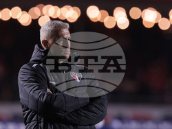 Brazil Ecuador Soccer Copa Libertadores