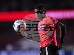 Brazil Ecuador Soccer Copa Libertadores