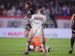Brazil Ecuador Soccer Copa Libertadores