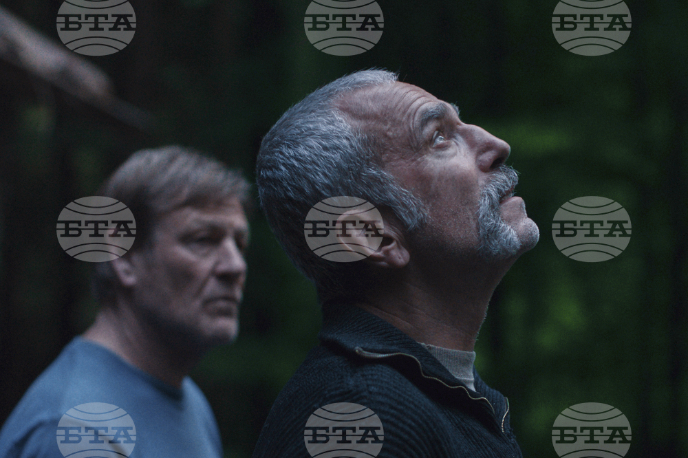 New York Film Festival