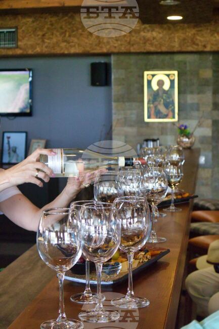 Zlaten Rozhen: Boutique Winery Invests in Sparkling Wine Equipment as It Blends Tradition and Innovation 