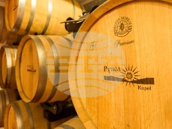 Село Долно Спанчево - винарска изба "Рупел"