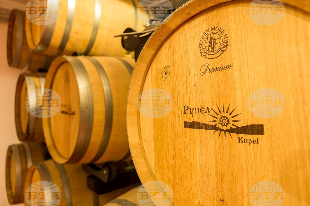 Тазгодишната реколта на Винарска изба "Рупел" е най-добрата за последните четири години, каза собственикът Павел Граматиков