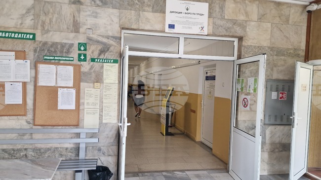 В бюрата по труда в Търговищка област са обявени седем свободни работни места за кандидати с висше образование