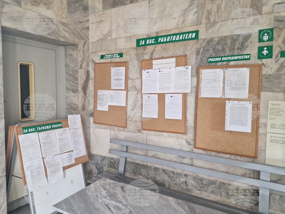 В област Търговище 255 души са постъпилите на работа през октомври, от тях 26,7 на сто са специалистите 