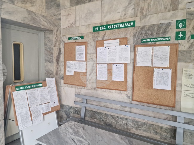 В област Търговище 255 души са постъпилите на работа през октомври, от тях 26,7 на сто са специалистите 