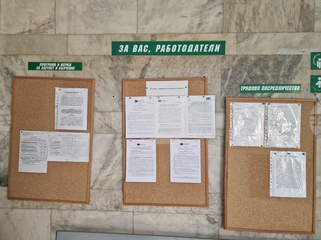 Бюрата по труда в Търговищка област са обявили повече свободни позиции за новата седмица, спрямо предходната 