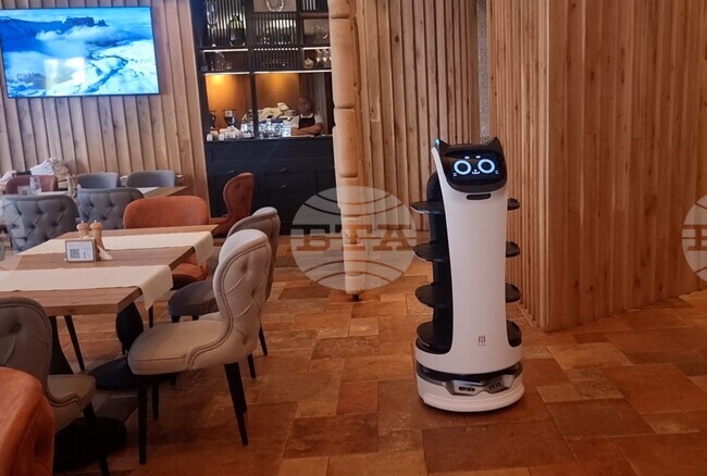 "Белла идва", казва робот сервитьор на туристите в хотел в Смолян