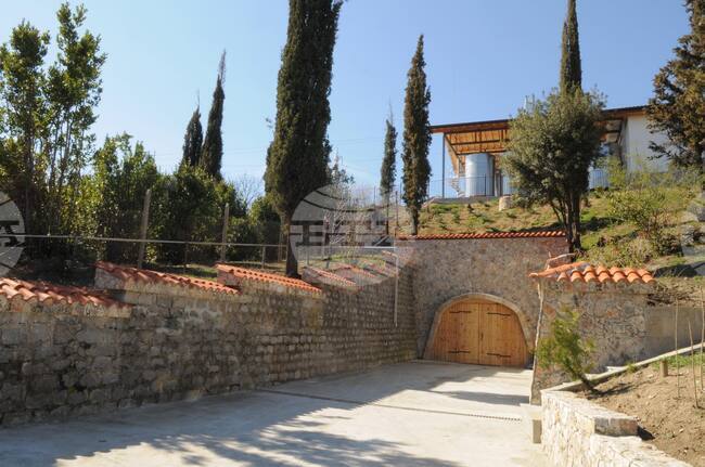 Sintica: A Winner at Brussels Competition Planning Modern Vineyard Irrigation