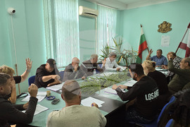 Димово - Общински съвет - решения - железопътен участък