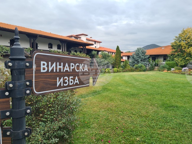 Старосел - винарска изба „Старосел“